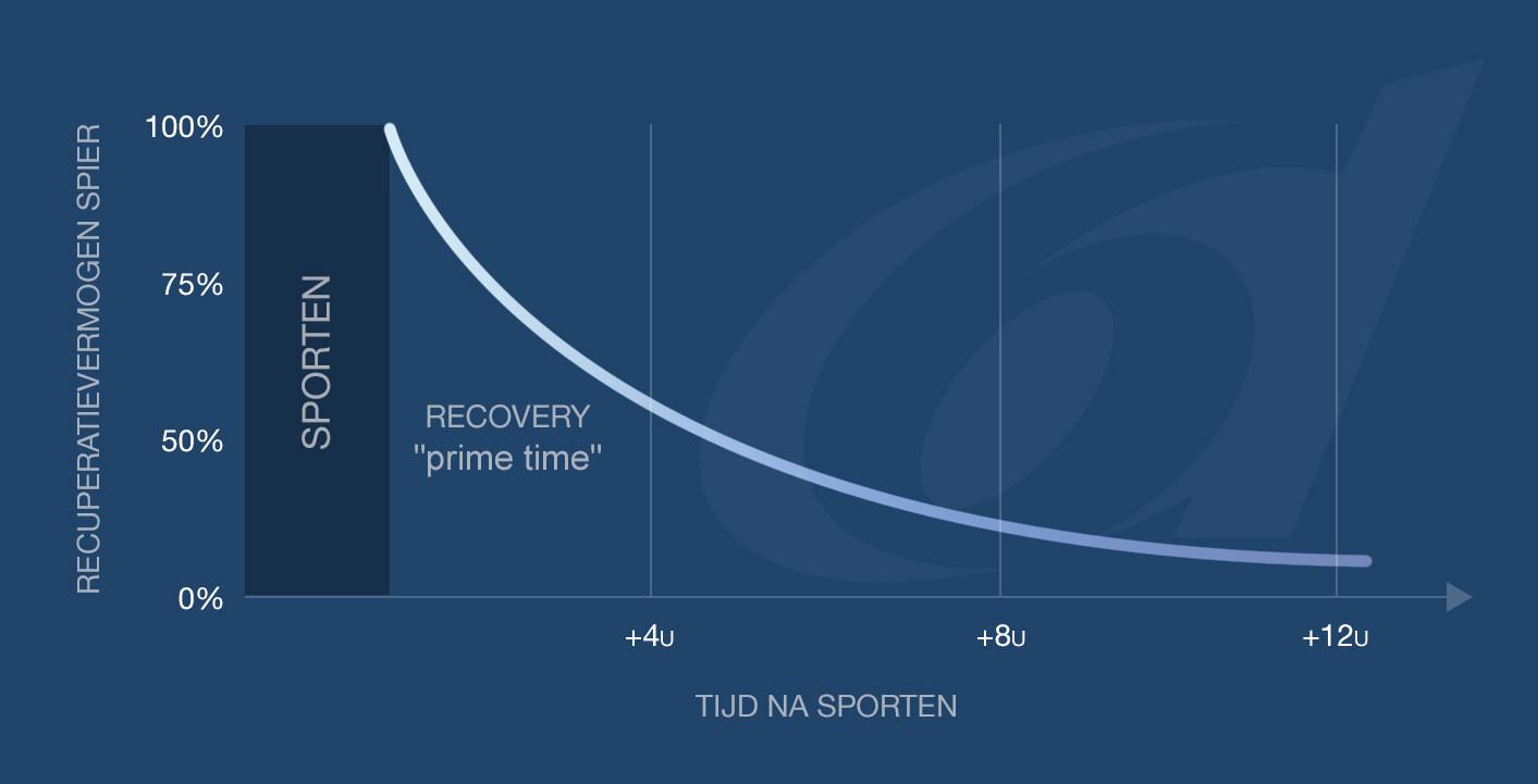 The potential of skeletal muscle to recover: prime time immediately after exercise