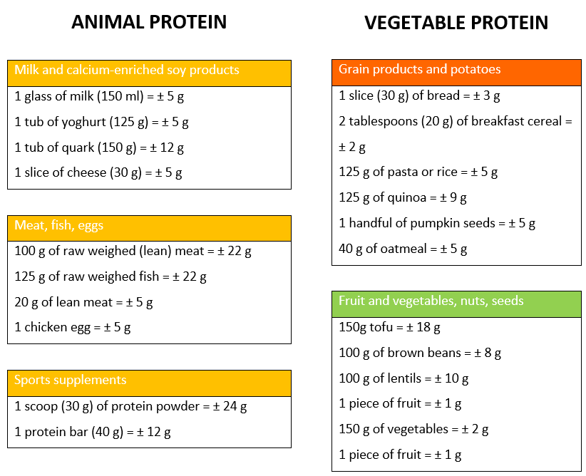 Protein sources overview