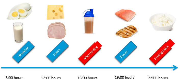 2 examples of protein distribution 2