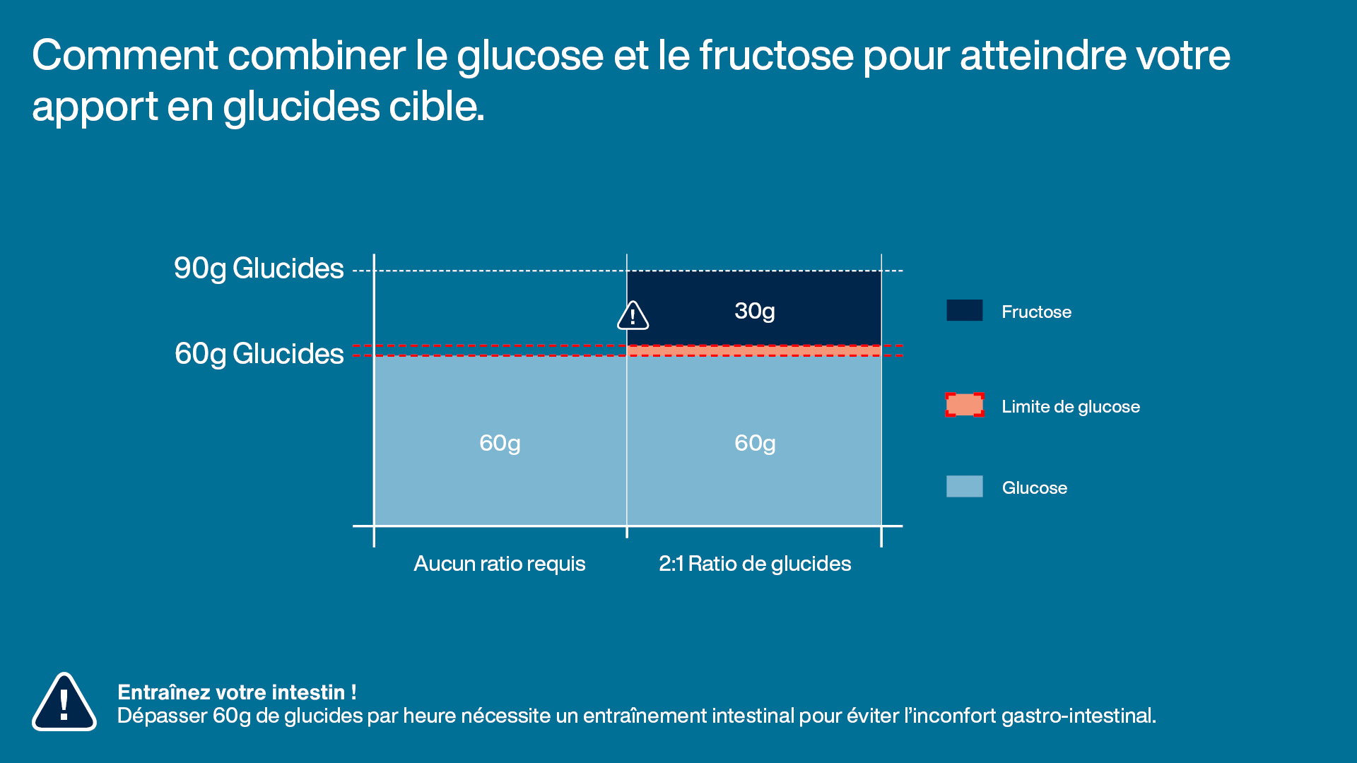 Visualisation de la combinaison glucose-fructose